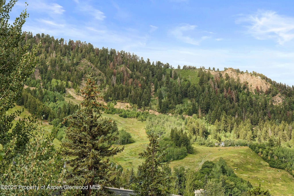 6 of 19 - 450 S Original Street 8, Aspen, CO