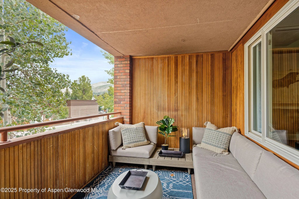 7 of 19 - 450 S Original Street 8, Aspen, CO