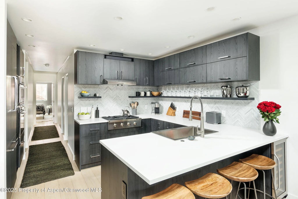 8 of 19 - 450 S Original Street 8, Aspen, CO