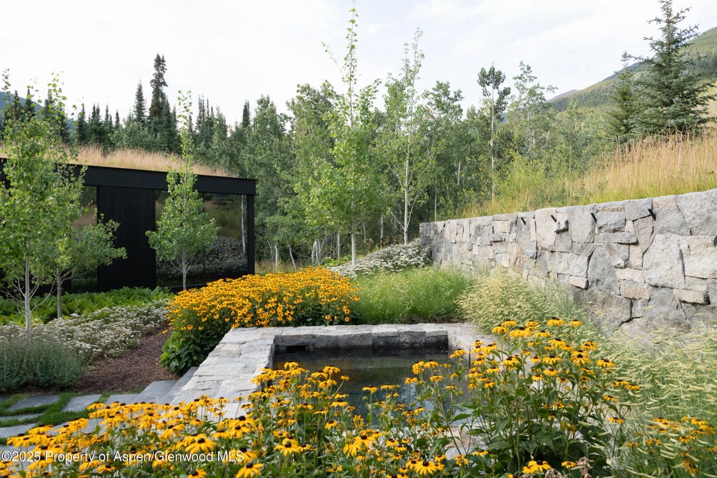 27 of 35 - 724 N Hayden Road, Aspen, CO