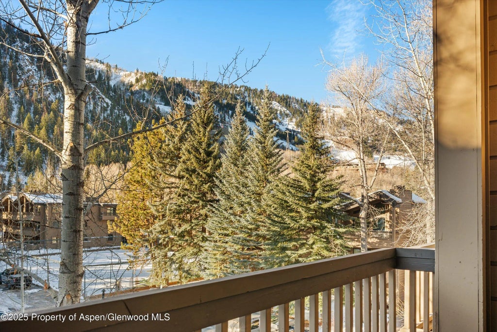 10 of 19 - 610 S West End Street D304, Aspen, CO