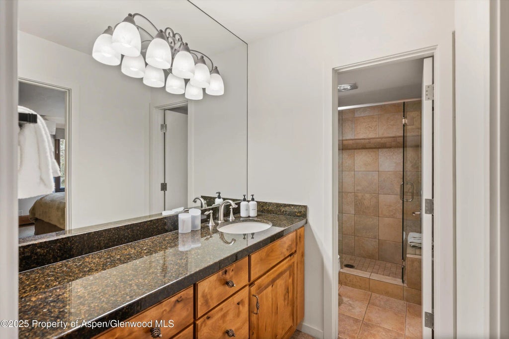 4 of 19 - 610 S West End Street D304, Aspen, CO