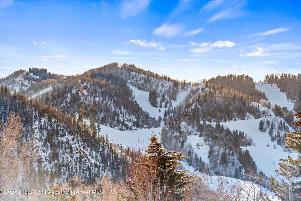 1 of 78 - 990 E Hopkins Avenue, Aspen, CO