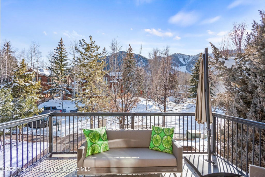 17 of 78 - 990 E Hopkins Avenue, Aspen, CO