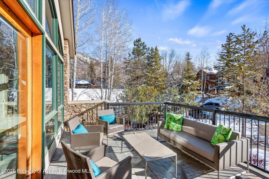 18 of 78 - 990 E Hopkins Avenue, Aspen, CO