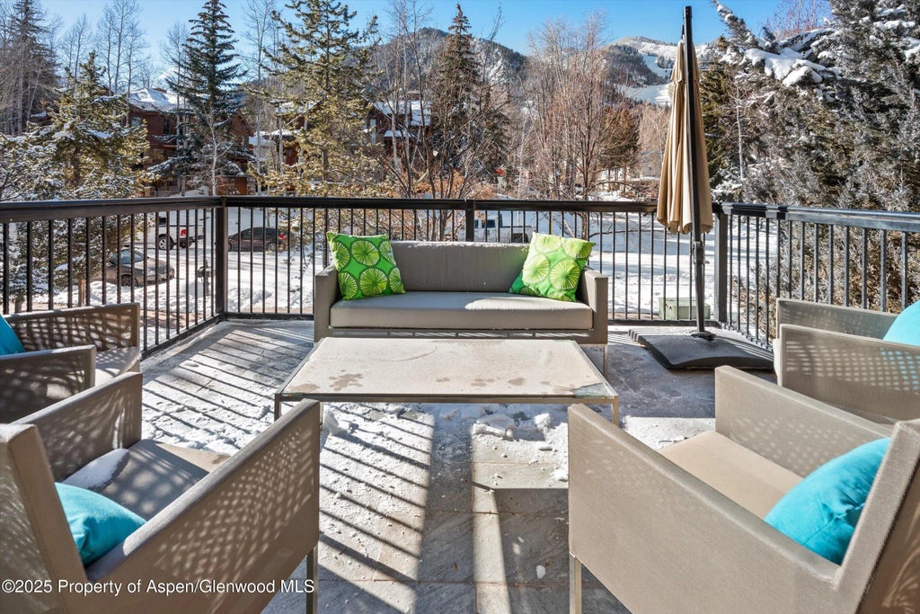 41 of 78 - 990 E Hopkins Avenue, Aspen, CO
