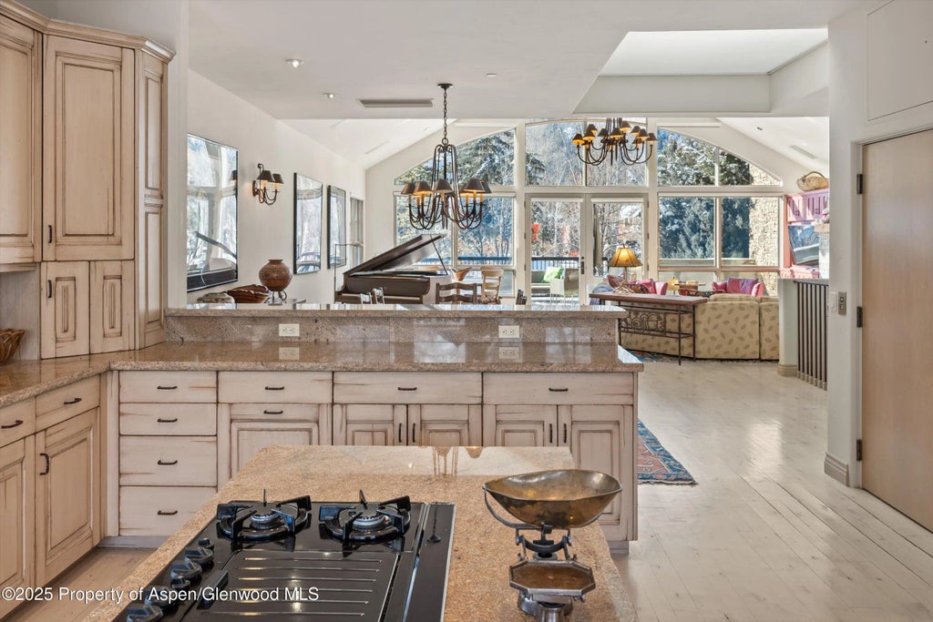 61 of 78 - 990 E Hopkins Avenue, Aspen, CO