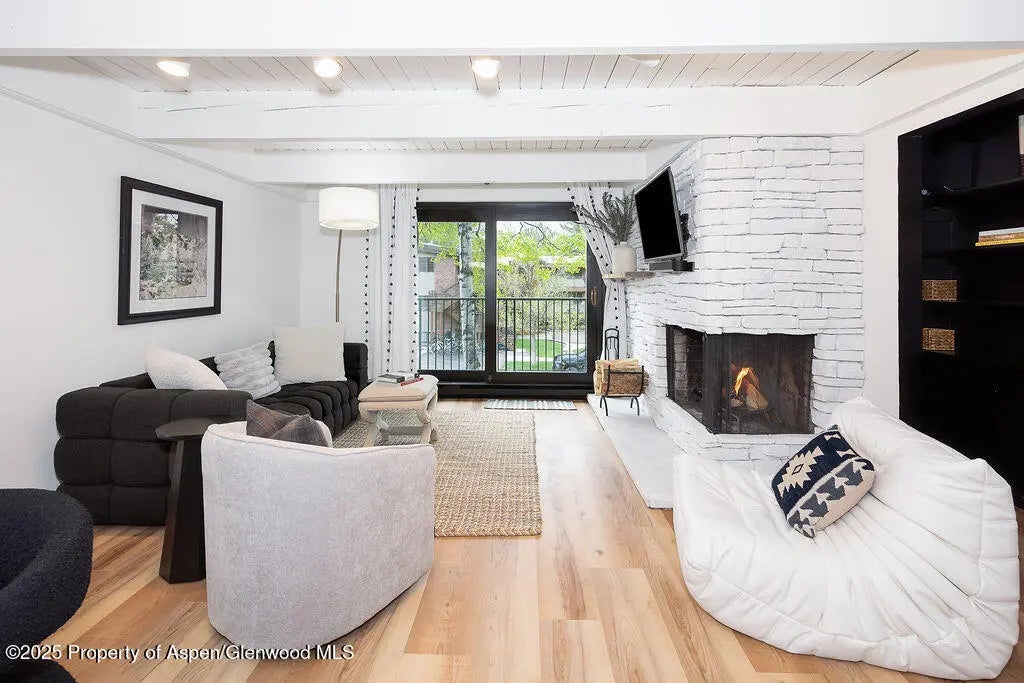 901 E Hyman Avenue 4, Aspen