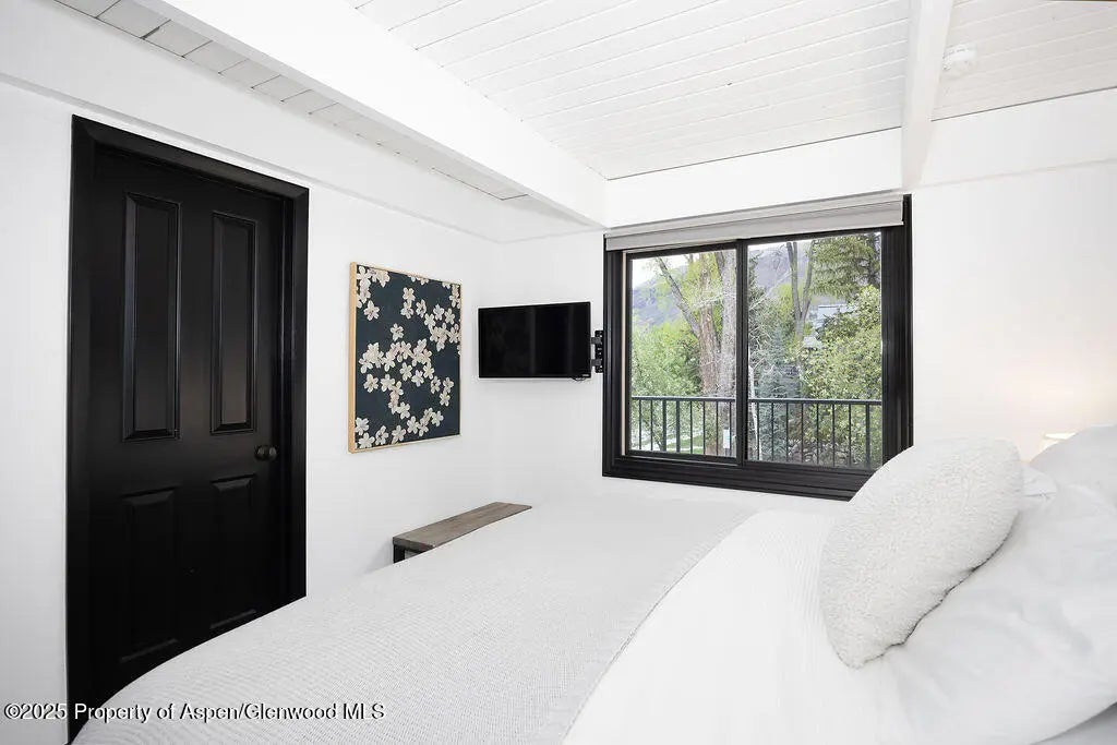 13 of 27 - 901 E Hyman Avenue 4, Aspen, CO