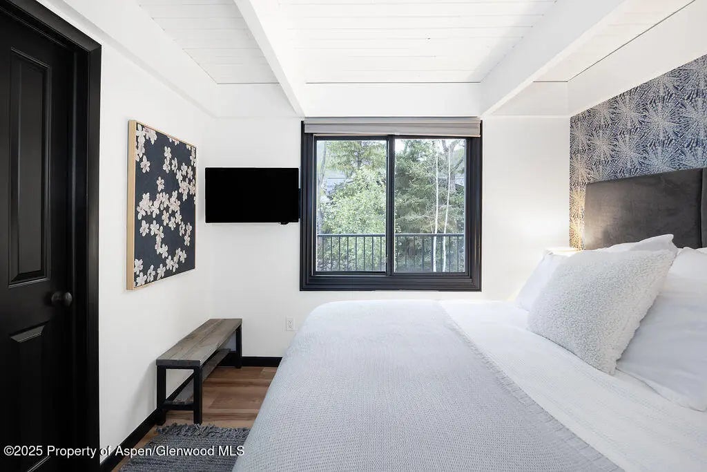 14 of 27 - 901 E Hyman Avenue 4, Aspen, CO