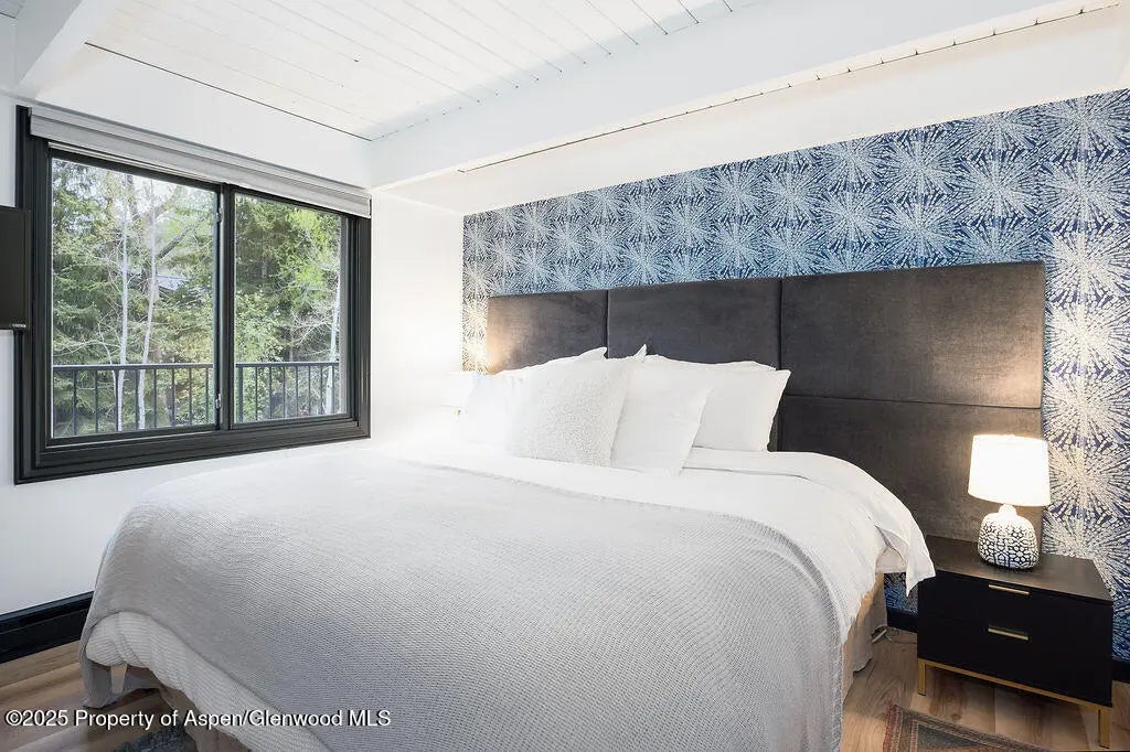 15 of 27 - 901 E Hyman Avenue 4, Aspen, CO