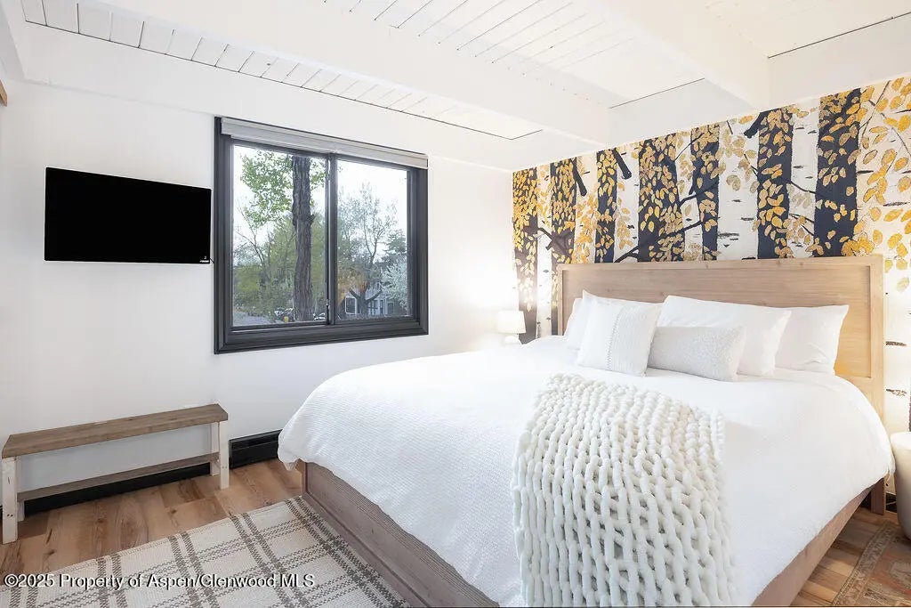 6 of 27 - 901 E Hyman Avenue 4, Aspen, CO