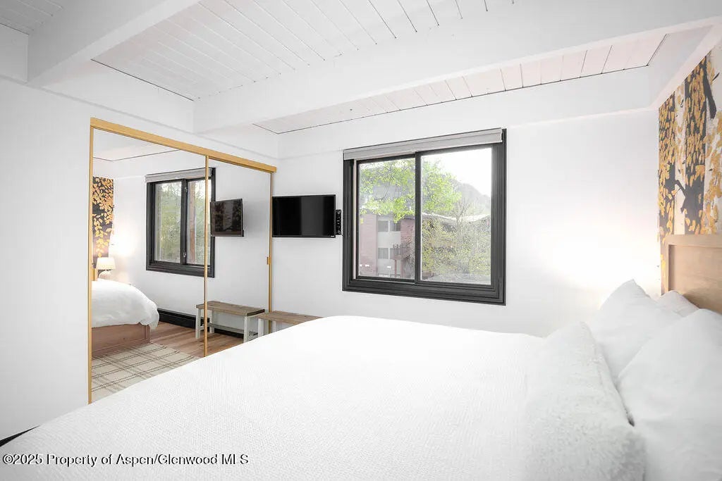 7 of 27 - 901 E Hyman Avenue 4, Aspen, CO