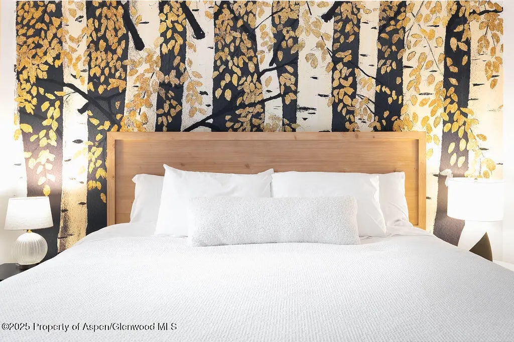 8 of 27 - 901 E Hyman Avenue 4, Aspen, CO