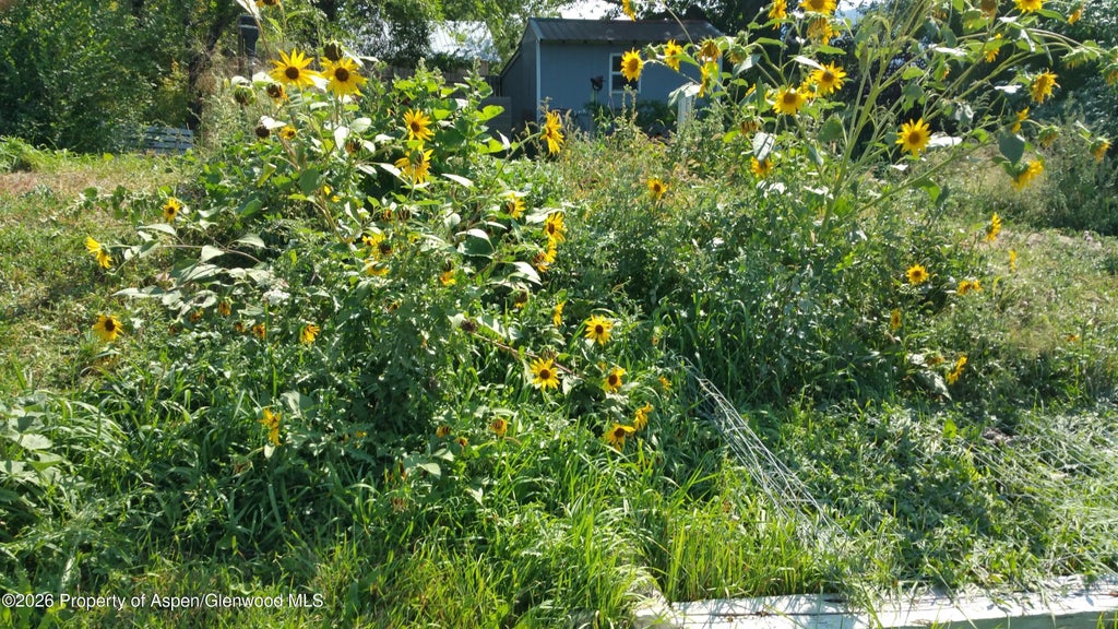 19 of 51 - 4243 Peach Valley Road Road, Silt, CO