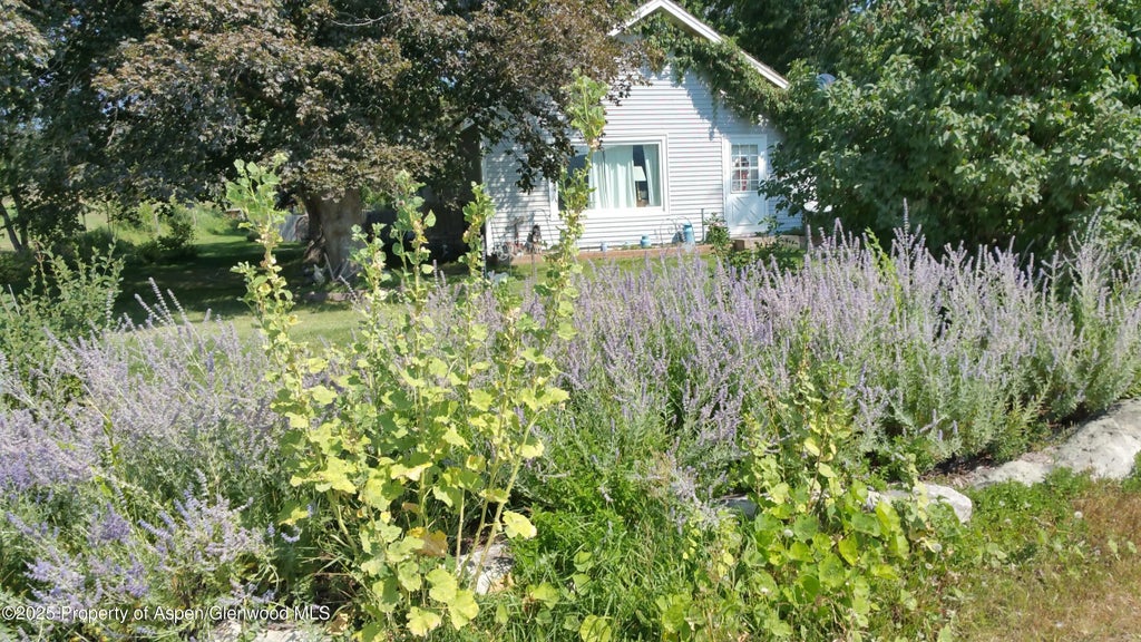 28 of 51 - 4243 Peach Valley Road Road, Silt, CO