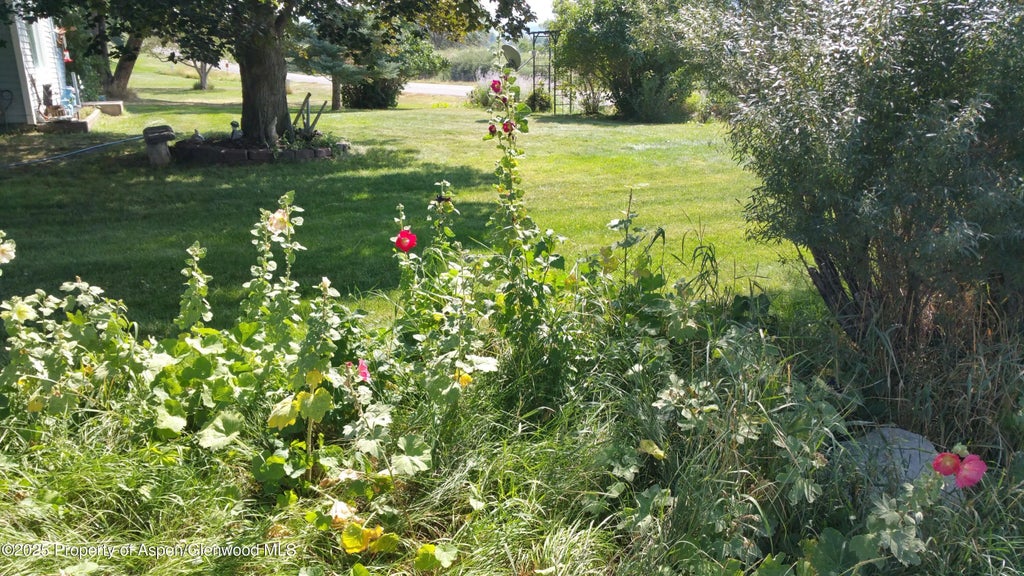 37 of 51 - 4243 Peach Valley Road Road, Silt, CO