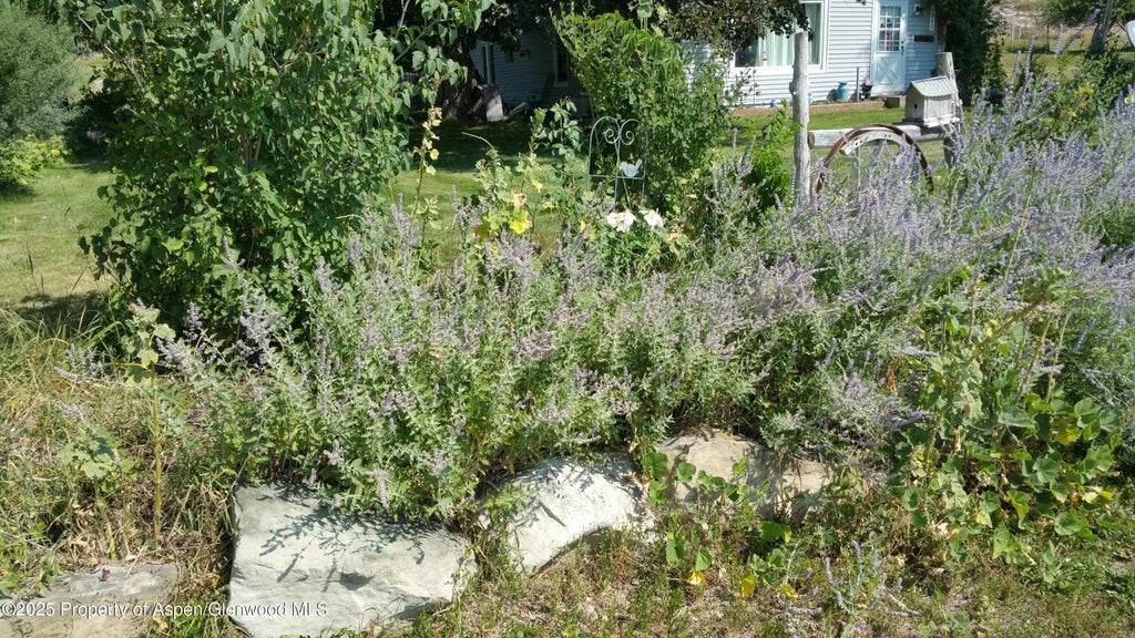 38 of 51 - 4243 Peach Valley Road Road, Silt, CO