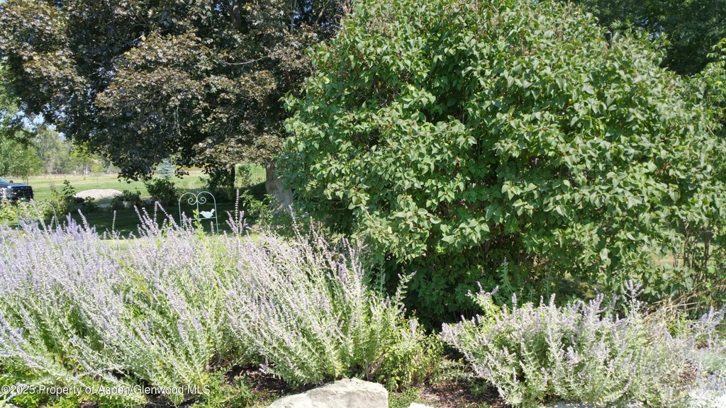 40 of 51 - 4243 Peach Valley Road Road, Silt, CO