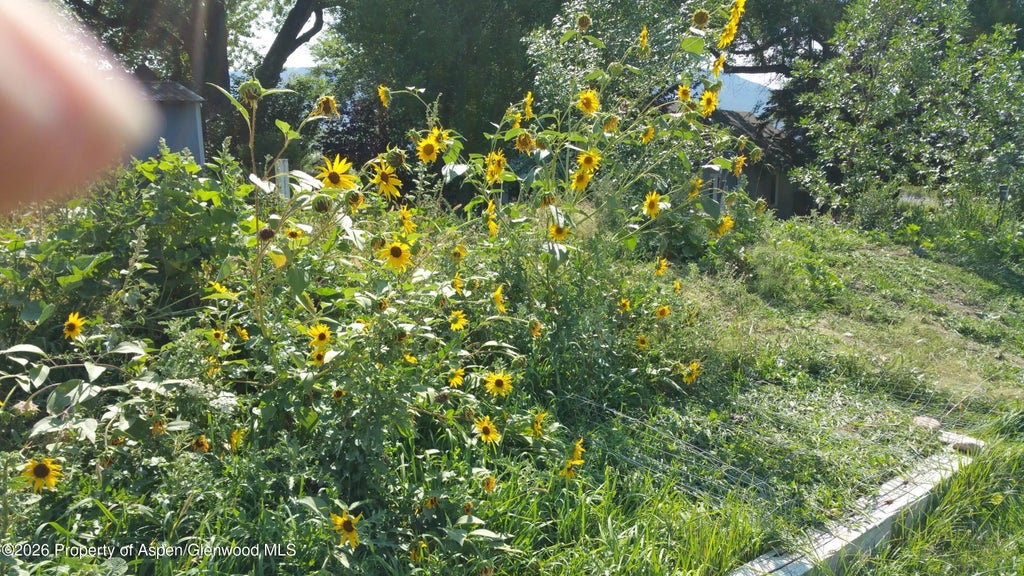 41 of 51 - 4243 Peach Valley Road Road, Silt, CO