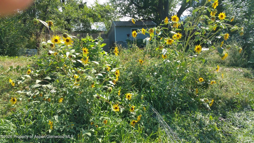 42 of 51 - 4243 Peach Valley Road Road, Silt, CO