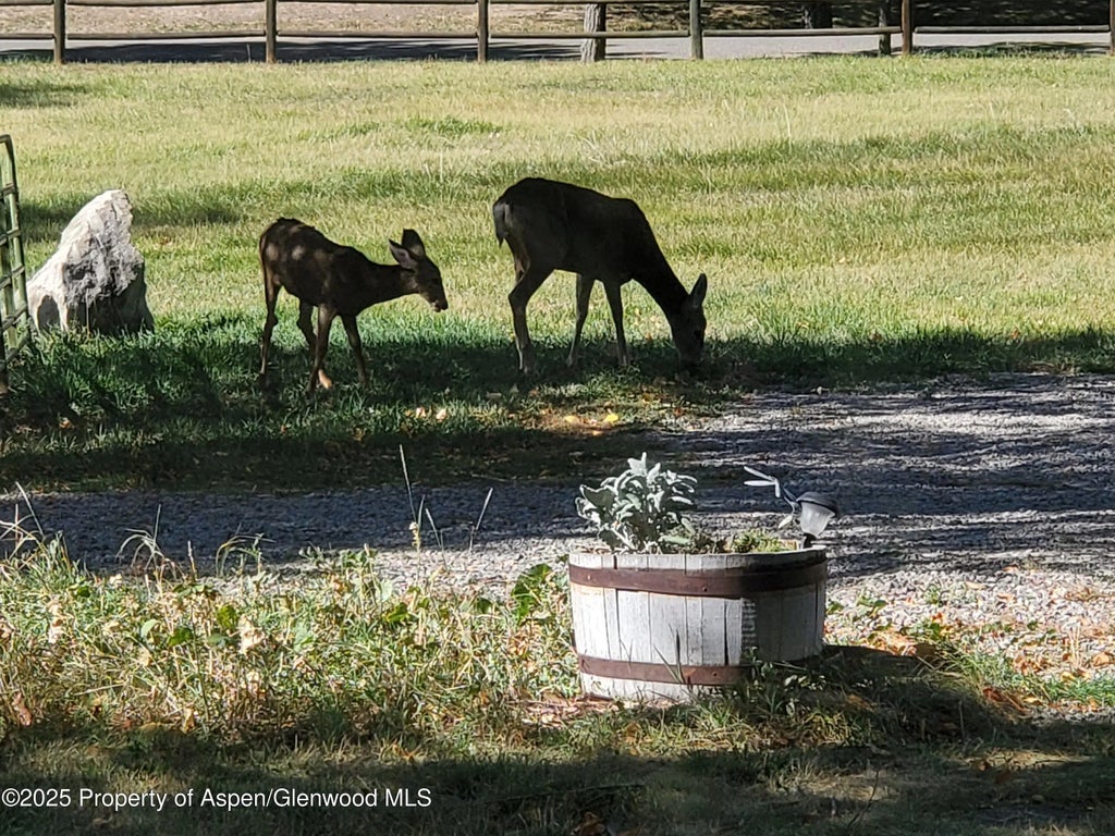 9 of 51 - 4243 Peach Valley Road Road, Silt, CO