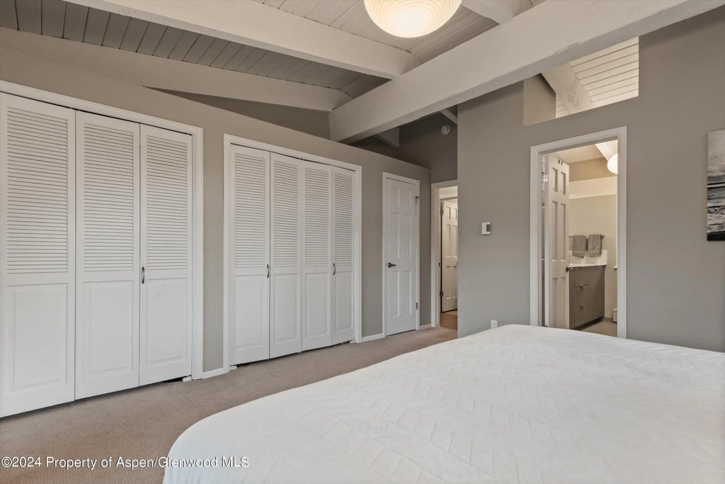 12 of 29 - 1650 Homestake Drive, Aspen, CO