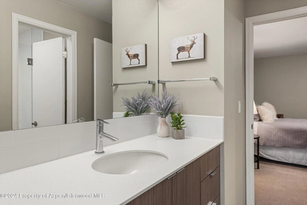 22 of 29 - 1650 Homestake Drive, Aspen, CO