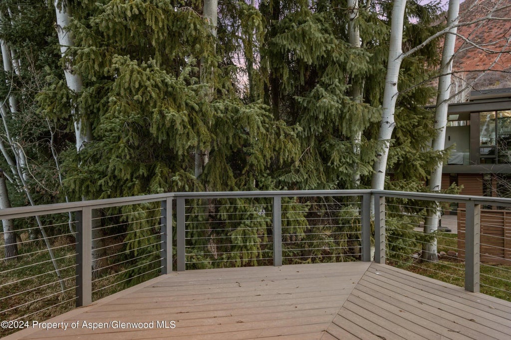 25 of 29 - 1650 Homestake Drive, Aspen, CO