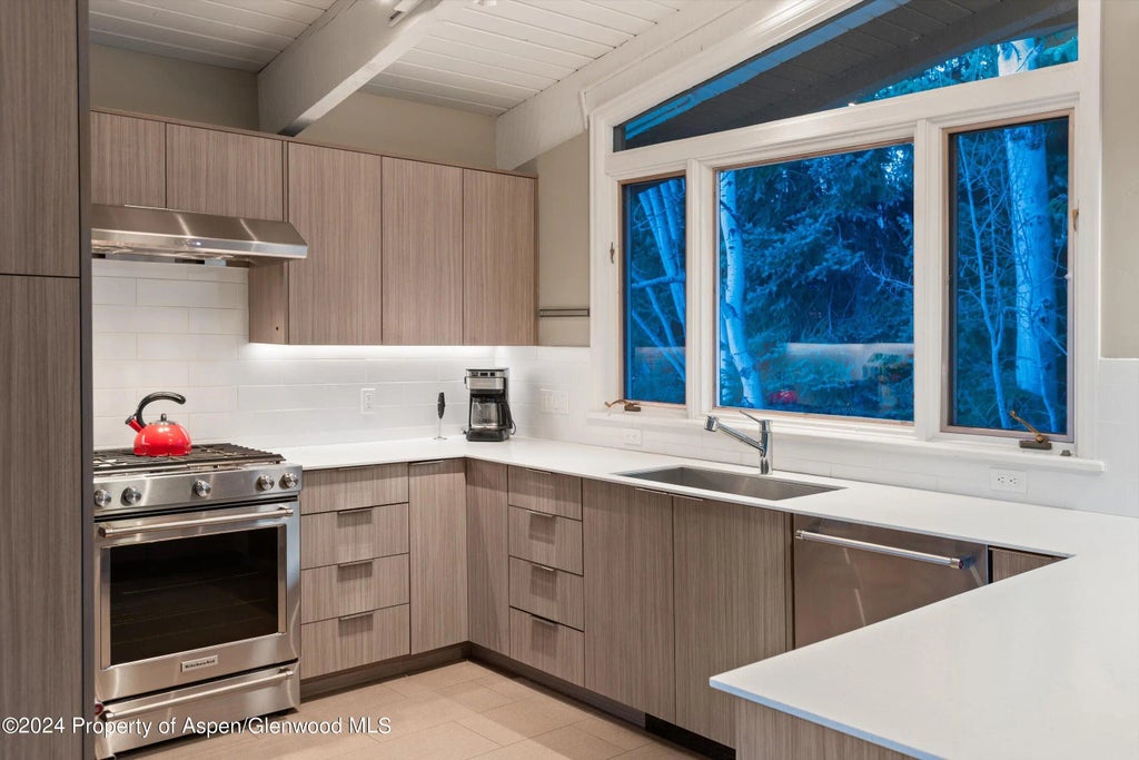 7 of 29 - 1650 Homestake Drive, Aspen, CO