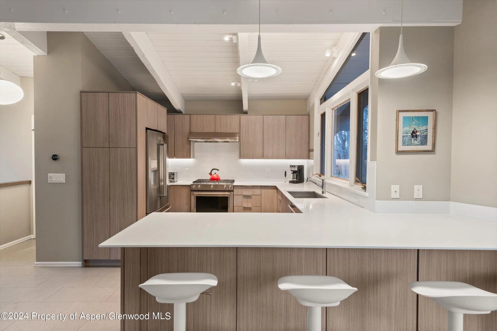 8 of 29 - 1650 Homestake Drive, Aspen, CO