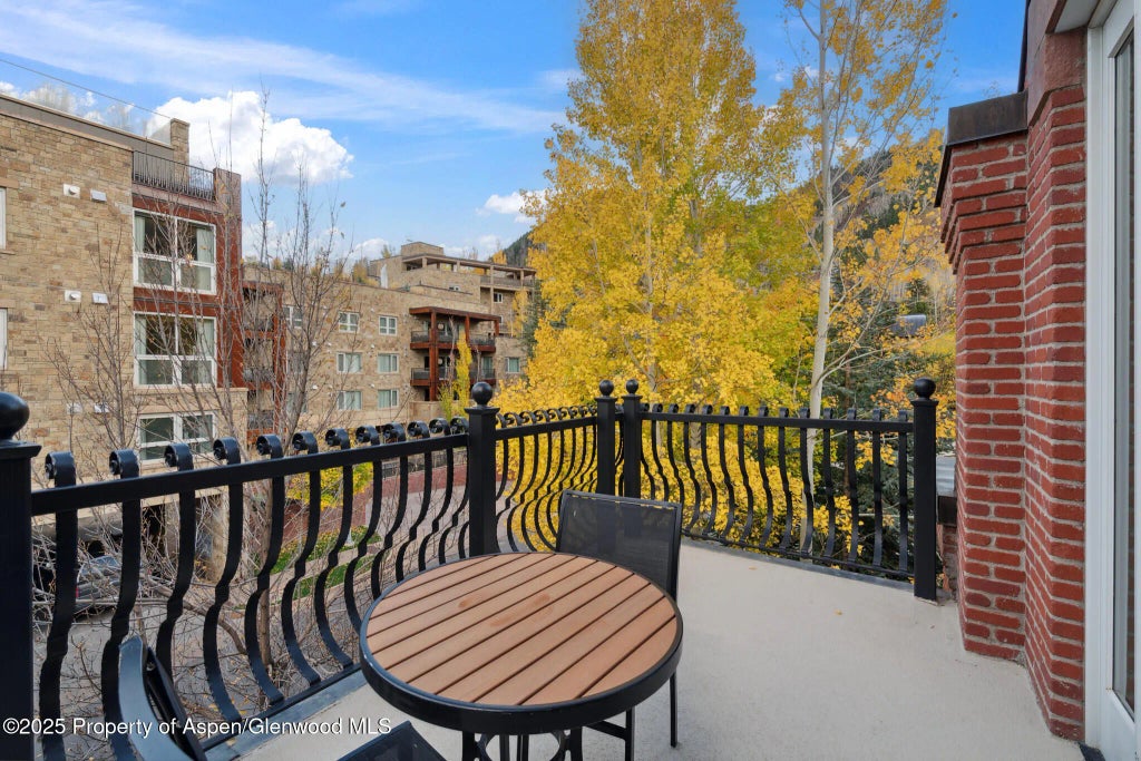 11 of 37 - 415 E Dean St., Unit 31, Week 11, Aspen, CO