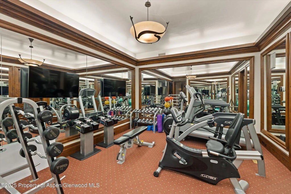 47 of 56 - 472 Thunderbowl Lane, Aspen, CO