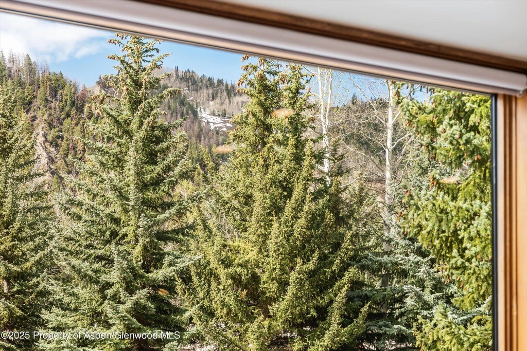 24 of 26 - 926 Waters Avenue #203, Aspen, CO