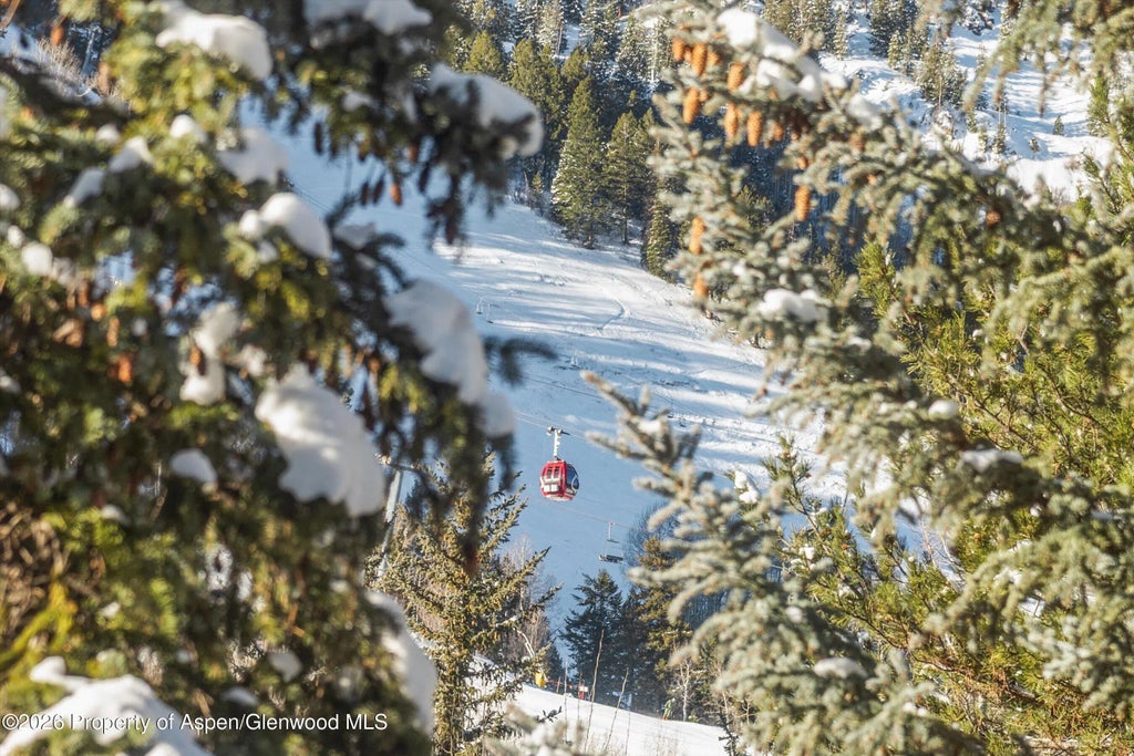 9 of 26 - 926 Waters Avenue #203, Aspen, CO