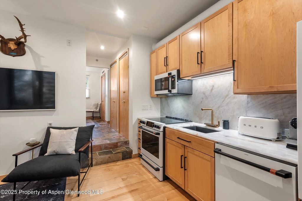 5 of 10 - 434 E Main Street 102, Aspen, CO