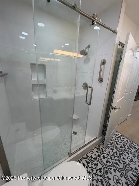 21 of 28 - 910 W Hallam Street 12, Aspen, CO