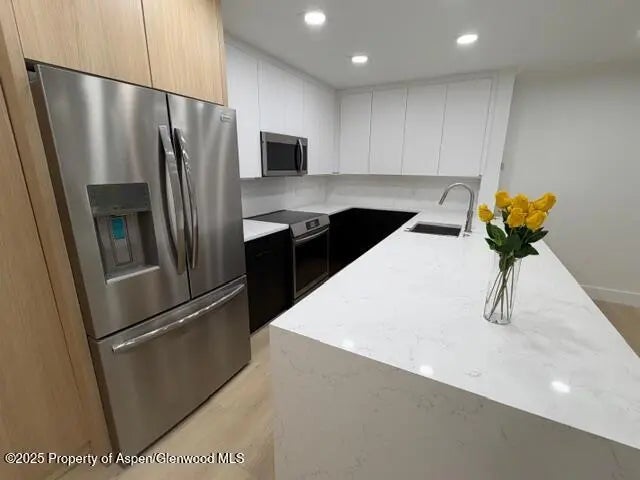 4 of 28 - 910 W Hallam Street 12, Aspen, CO