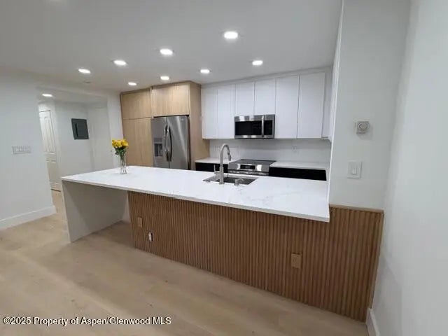 5 of 28 - 910 W Hallam Street 12, Aspen, CO