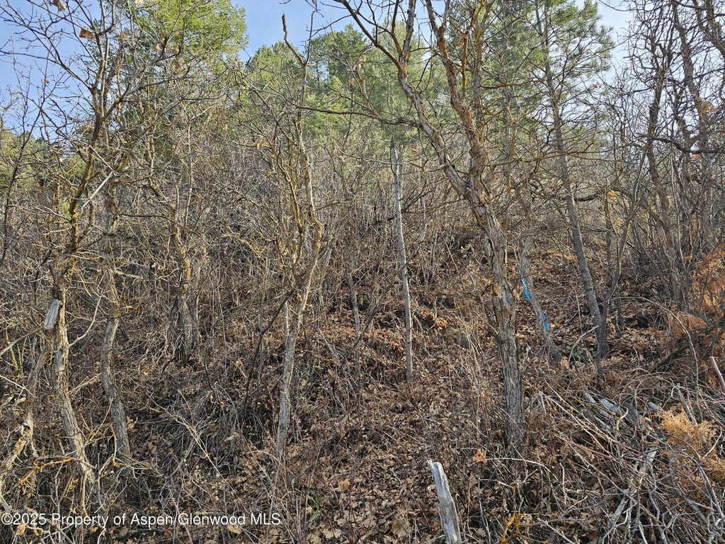 17 of 20 - Tbd Various, Glenwood Springs, CO