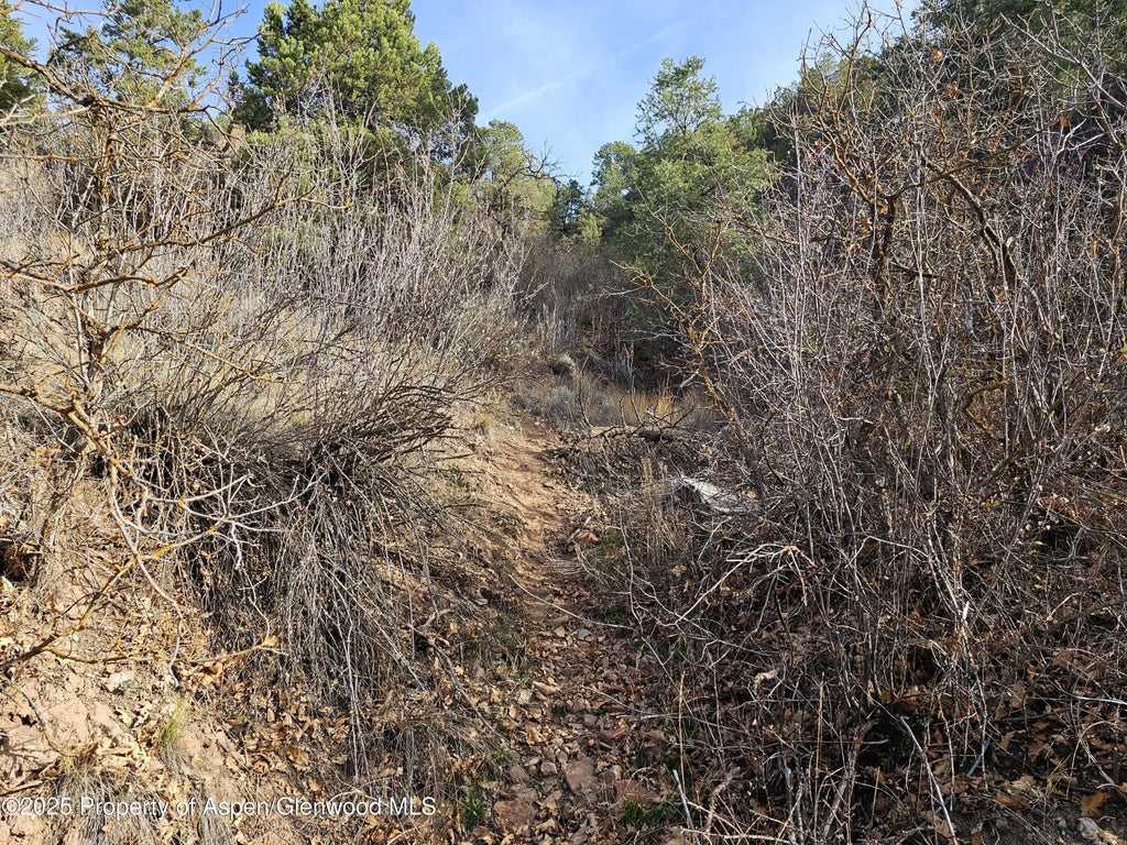 7 of 20 - Tbd Various, Glenwood Springs, CO