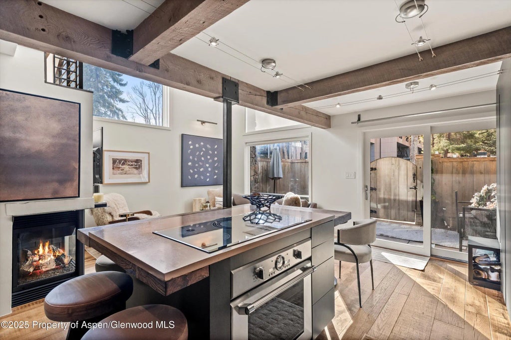 10 of 25 - 1024 E Cooper Avenue 1, Aspen, CO