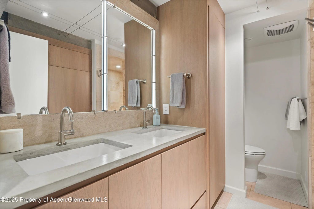 14 of 25 - 1024 E Cooper Avenue 1, Aspen, CO