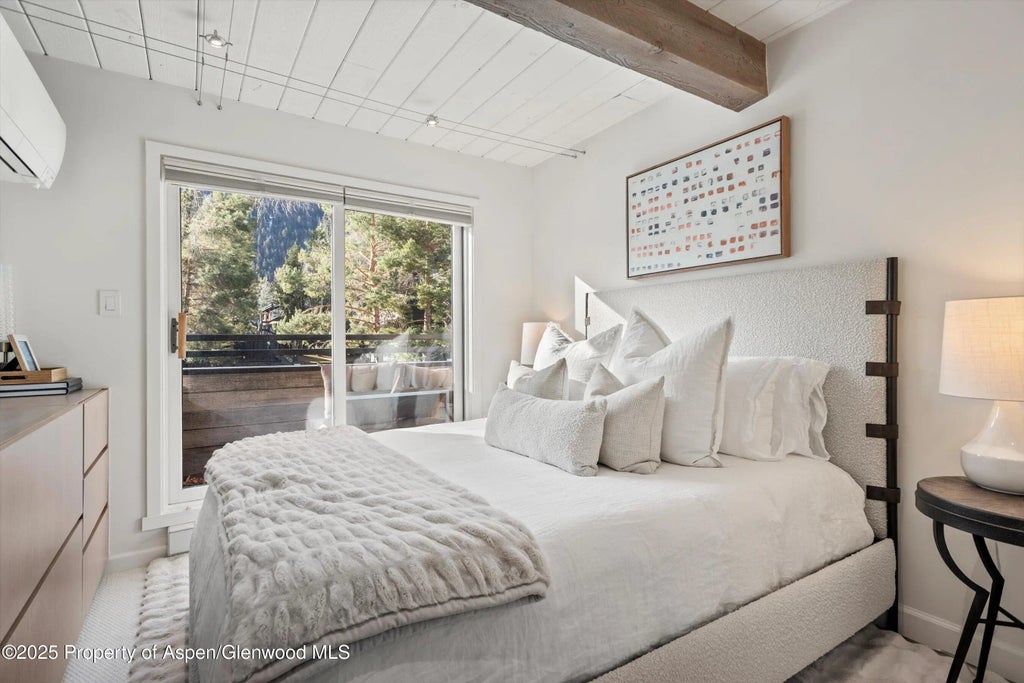 18 of 25 - 1024 E Cooper Avenue 1, Aspen, CO