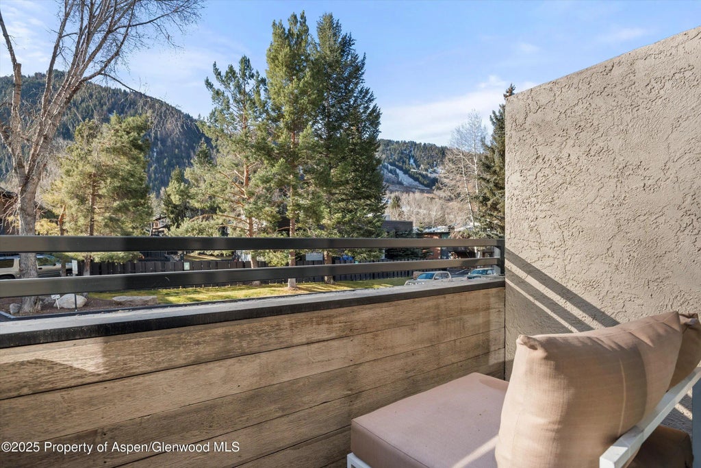 19 of 25 - 1024 E Cooper Avenue 1, Aspen, CO