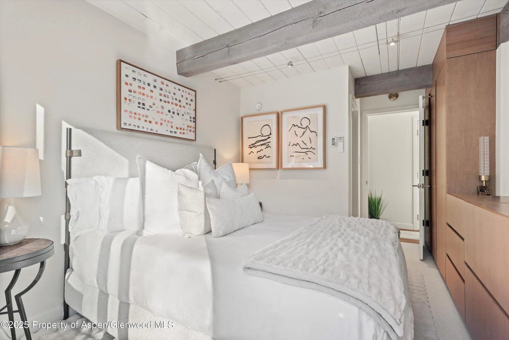 20 of 25 - 1024 E Cooper Avenue 1, Aspen, CO