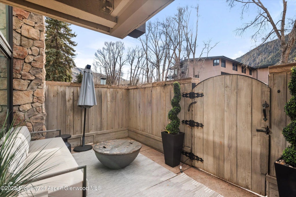 22 of 25 - 1024 E Cooper Avenue 1, Aspen, CO