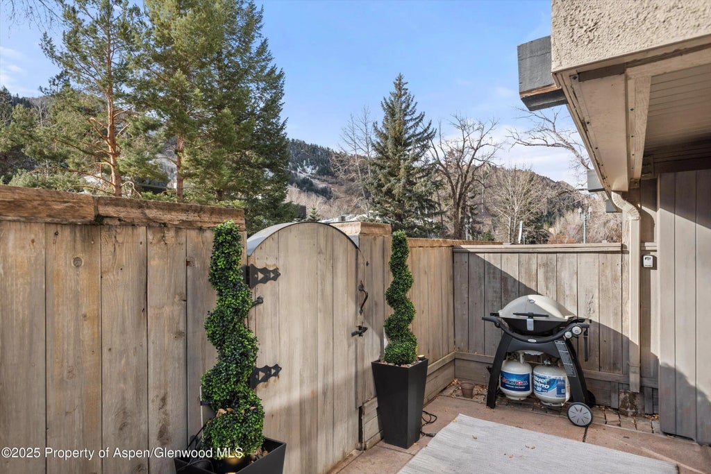 23 of 25 - 1024 E Cooper Avenue 1, Aspen, CO