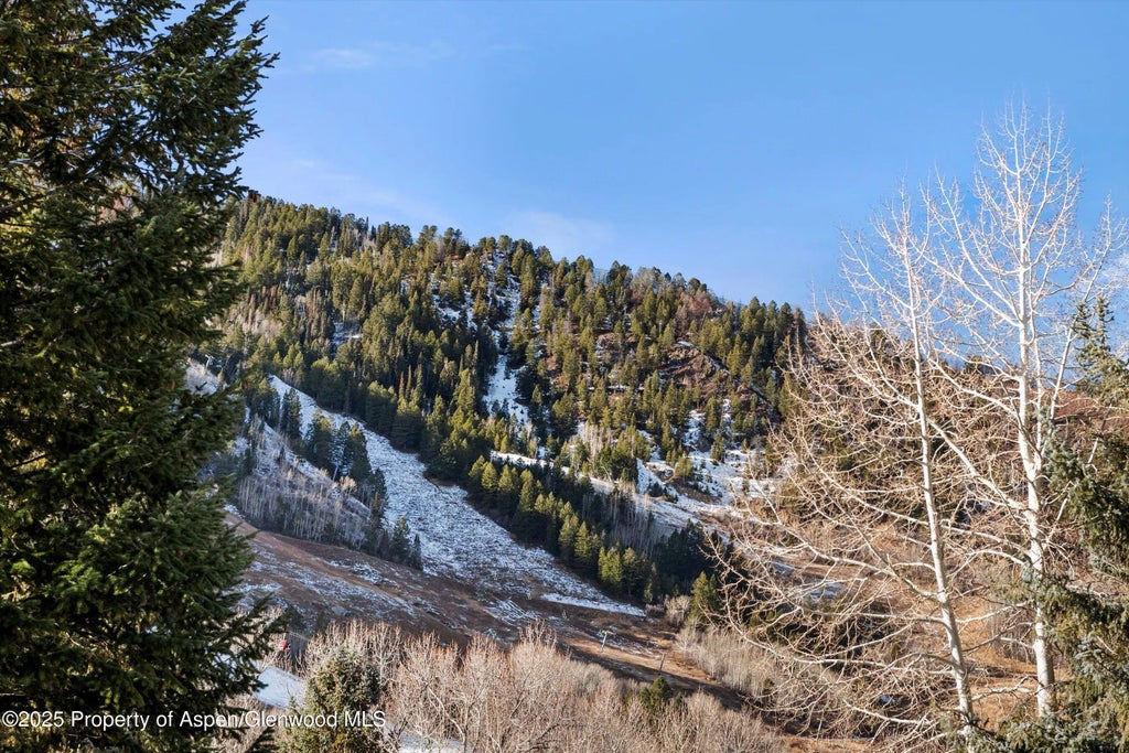 24 of 25 - 1024 E Cooper Avenue 1, Aspen, CO