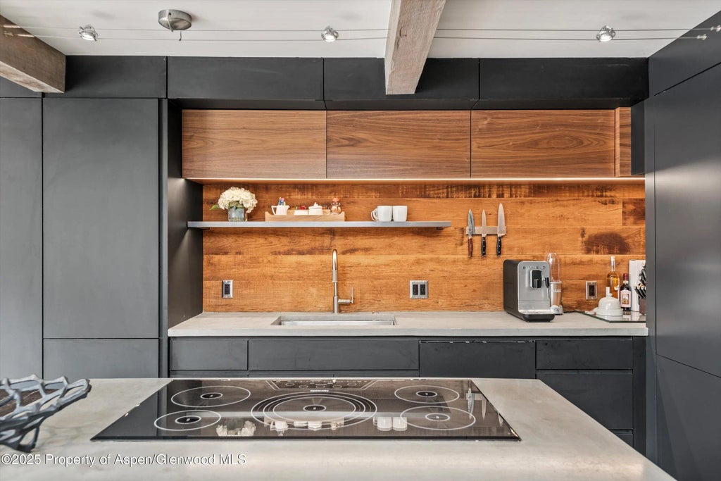 9 of 25 - 1024 E Cooper Avenue 1, Aspen, CO